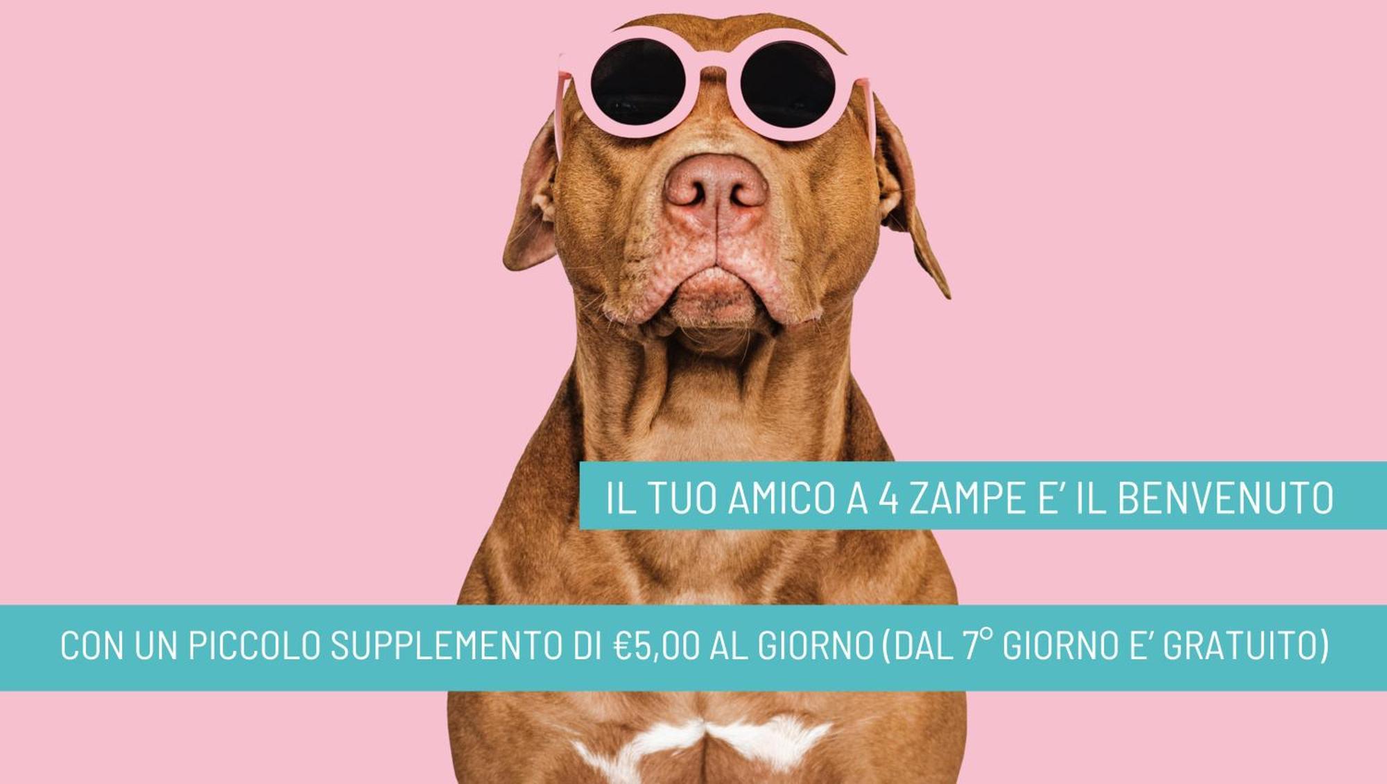 Hotel Nizza - NUOVA GESTIONE Riccione Esterno foto